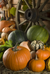 cusiner en septembre